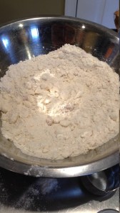 My flour mixture resembles pebbles...pebbles of butter.